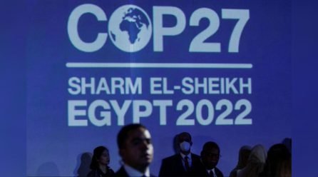 What’s up at Sharm el-Sheikh COP27, Climate Implementation Summit?